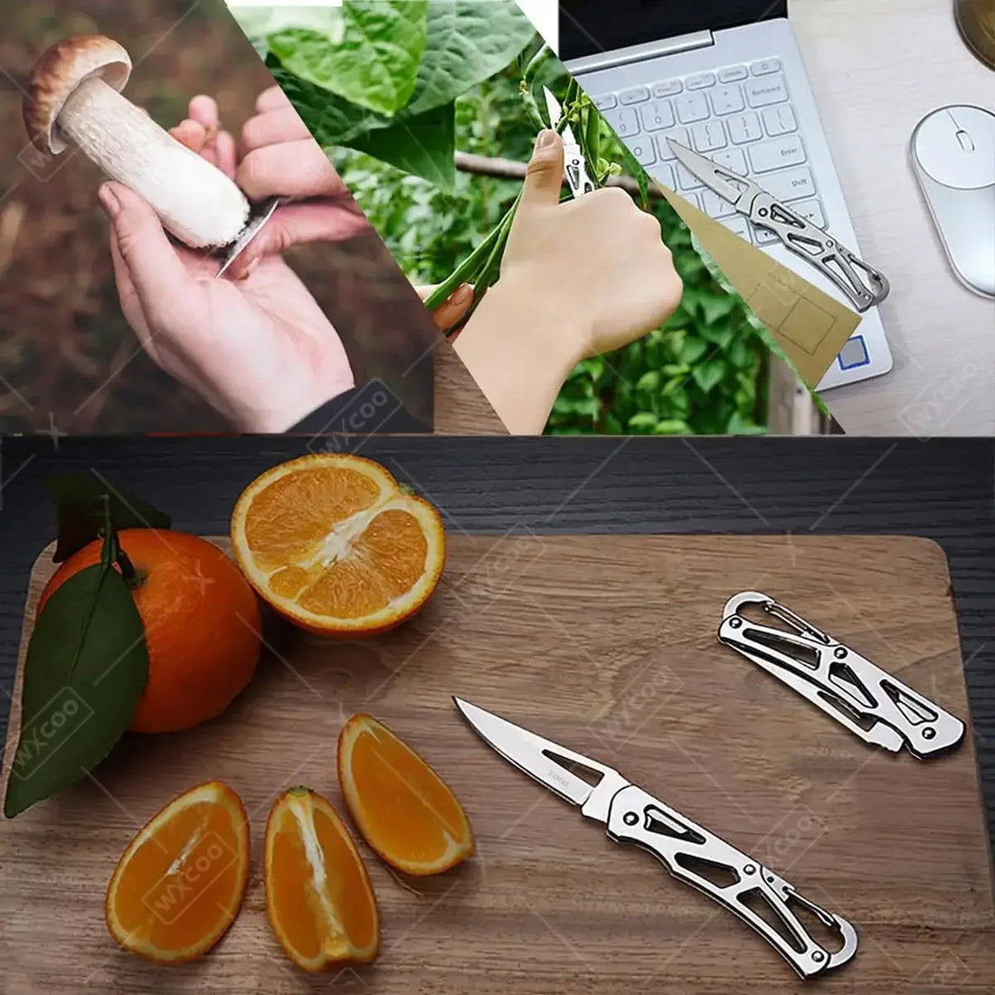 Stainless Steel Folding Pocket Knife – Multifunctional Kitchen Tool