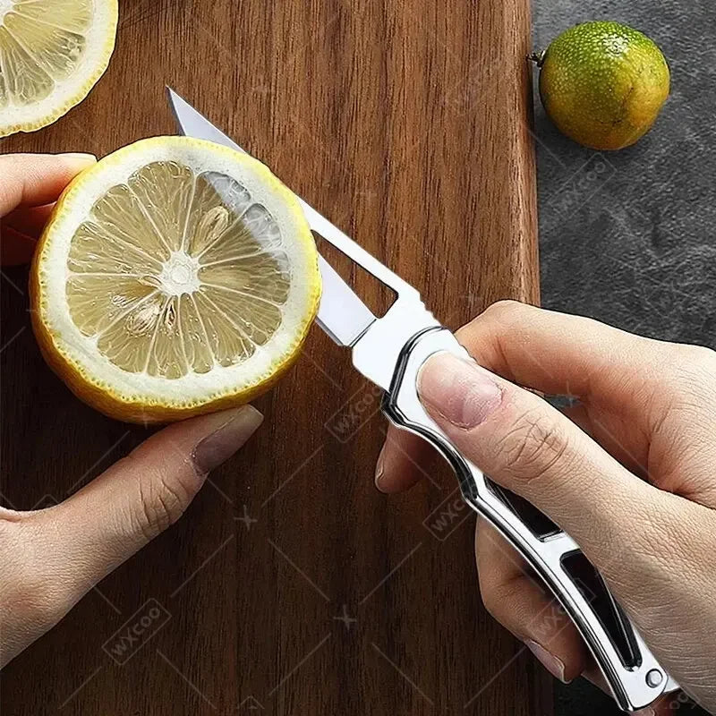 Stainless Steel Folding Pocket Knife – Multifunctional Kitchen Tool