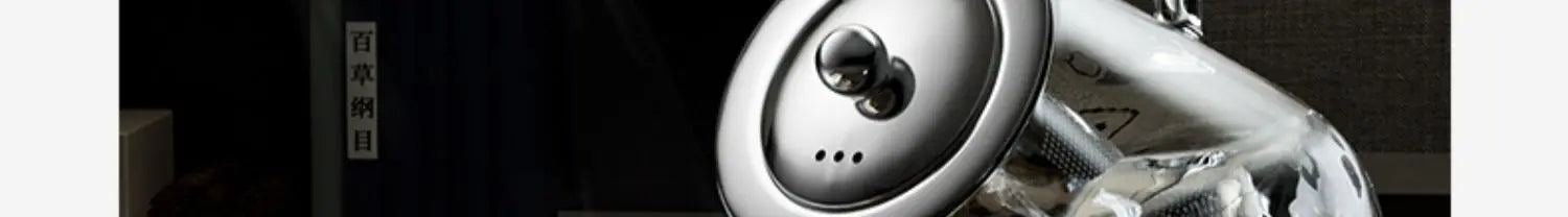 Heat-Resistant Glass Teapot – Stainless Steel Infuser for Tea