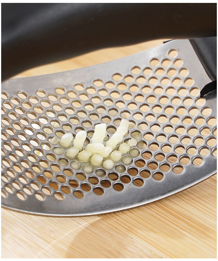 Stainless Steel Garlic Press